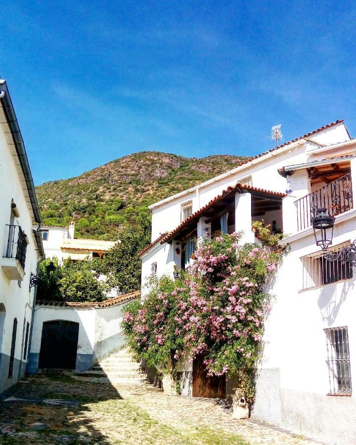 Aya Ii Linares de la Sierra